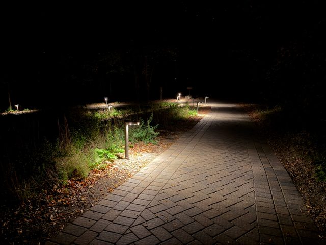 IMG_4067 A paved walkway at night is lit by several small Tubelle Series path lights, with surrounding vegetation and darkness beyond the illuminated area.
